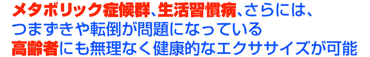 サイクルツイスタースリム